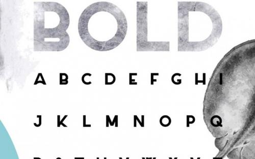 Salt Sans Serif Font