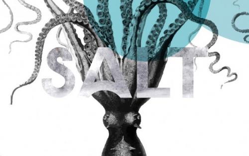 Salt Sans Serif Font