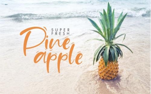 Sand Beach Script Font
