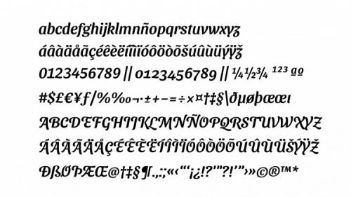 Sansita Swashed Font Family