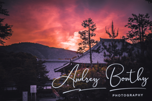 Seattle Handwritten Font