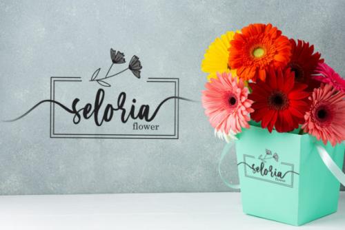 Serenity Calligraphy Font