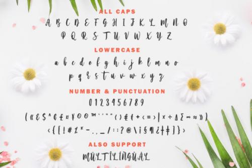 Serenity Calligraphy Font