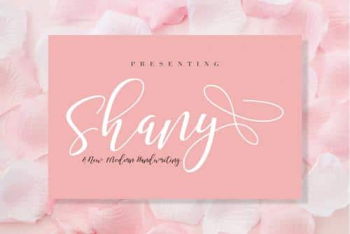 Shany Script Font