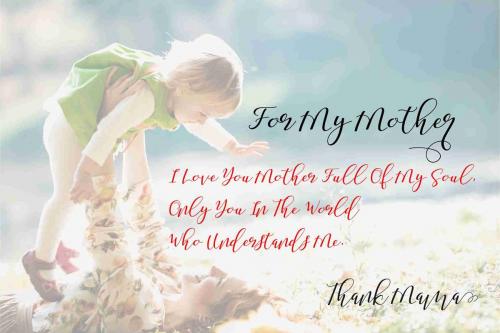 Shany Script Font