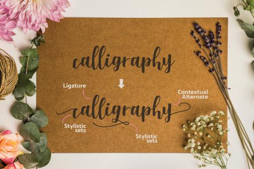 Shella Rough Brush Font