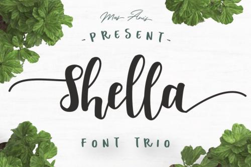 Shella Rough Brush Font