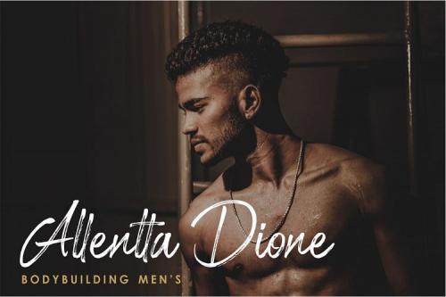 Shillentta Script Font