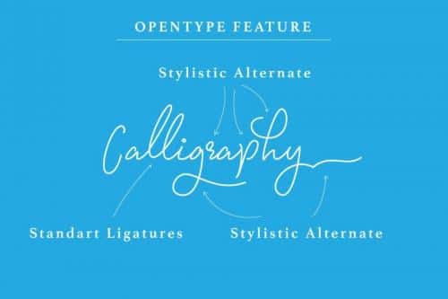 Signatura Monoline Script Font