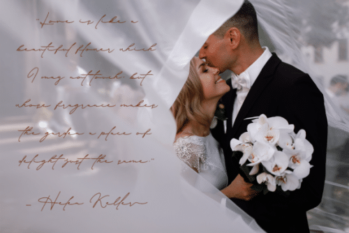 Signature Collection Handwritten Font