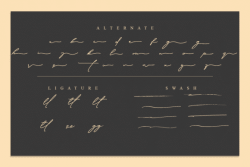 Signature Collection Handwritten Font
