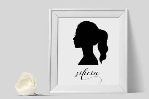 Silicia Script Font