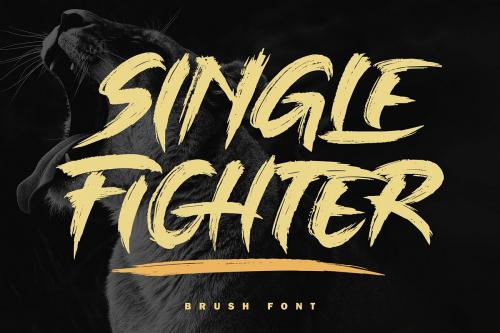 Single Fighter Brush Font