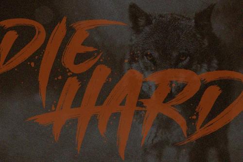 Single Fighter Brush Font