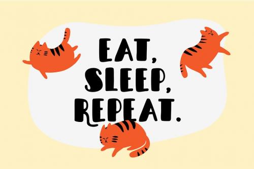 Sleepy Fat Cat Typeface