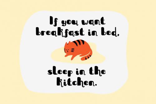 Sleepy Fat Cat Typeface
