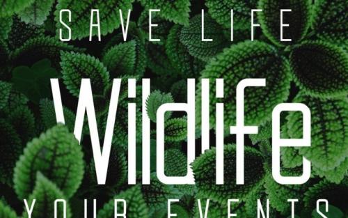 Slender Free Font Family