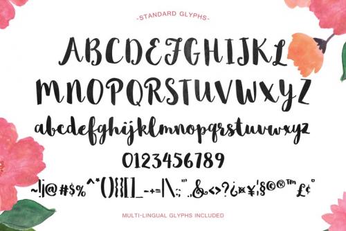 Sophia Font Family