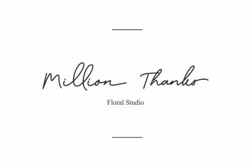 Sophia Script Font