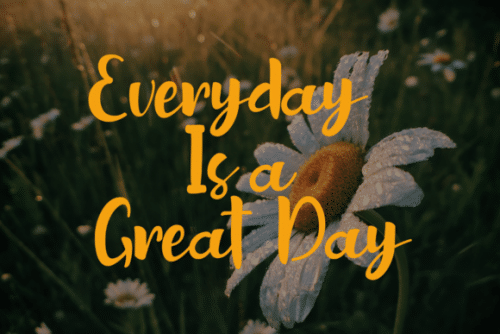 Sottel Bold Calligraphy Font