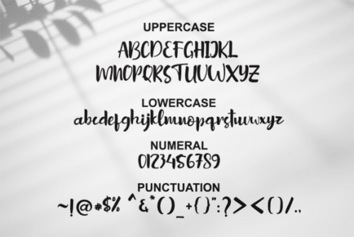Sottel Bold Calligraphy Font