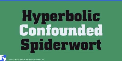 Special Forces Font
