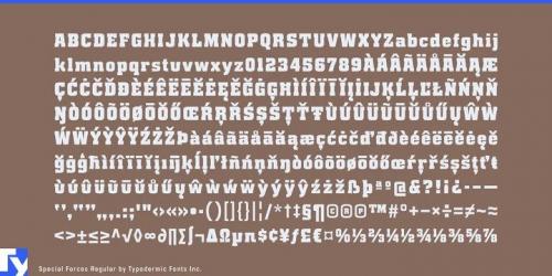 Special Forces Font