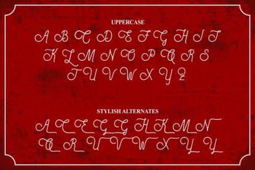 Special Thanks Script Font