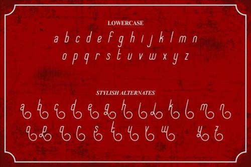 Special Thanks Script Font