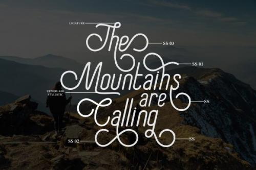 Special Thanks Script Font