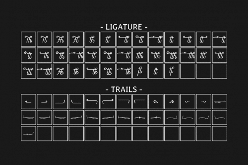 Speed Line Script Font
