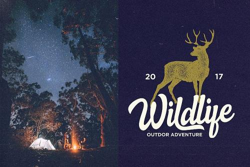 Spellkid Script Font