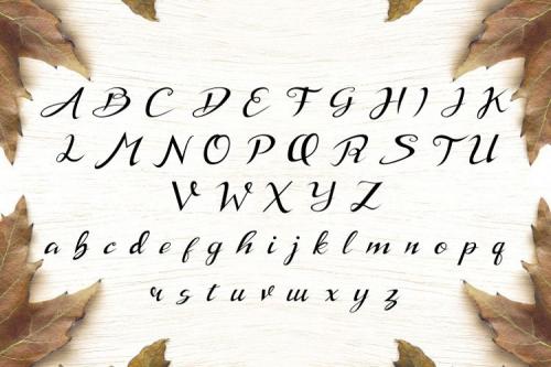 Stanburghe Script Font