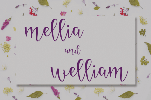 Starlight Calligraphy Font