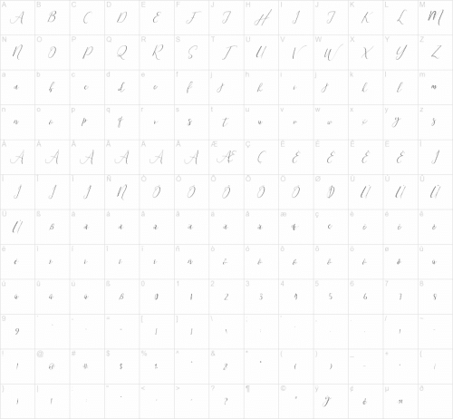 Steady Script Font