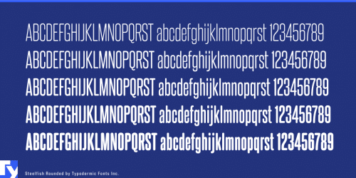 Steelfish Rounded Font Family