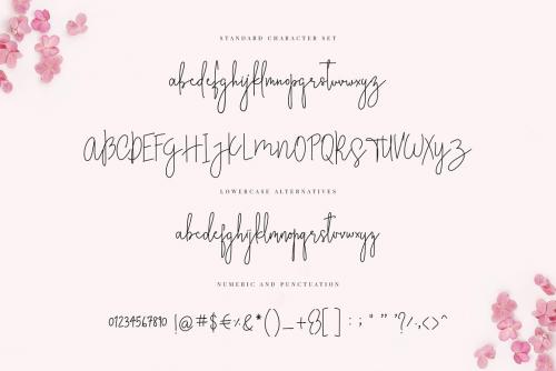 Stylish Charm Font