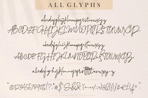 Stylish Classy Handwritten Font