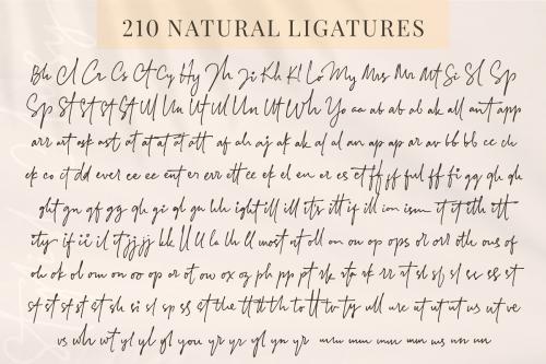 Stylish Classy Handwritten Font