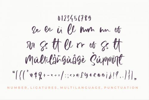 Summer Coast Script Font