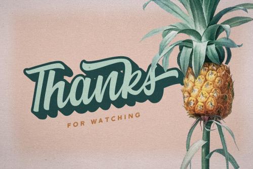 Summer Fruits Script Font