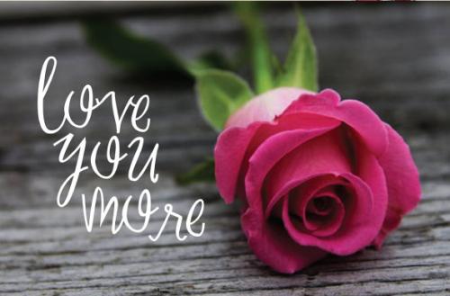 Sweet February Script Font