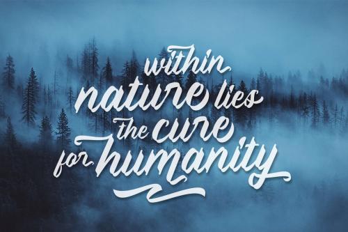 Sweet Pancake Script Font