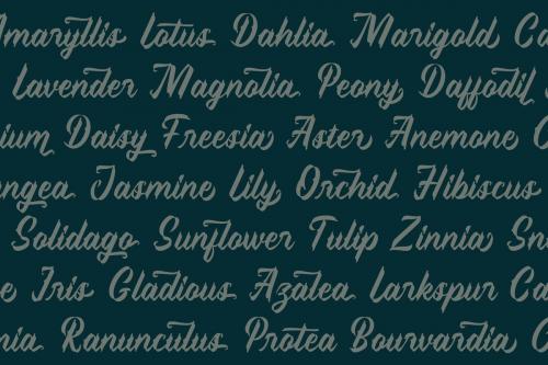 Sweet Pancake Script Font