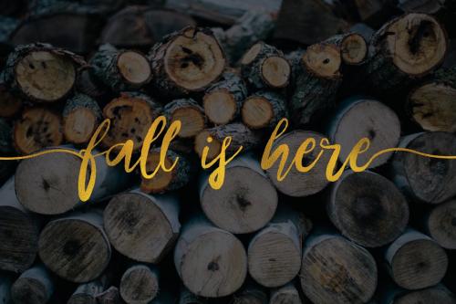 Sweethart Script Vectors