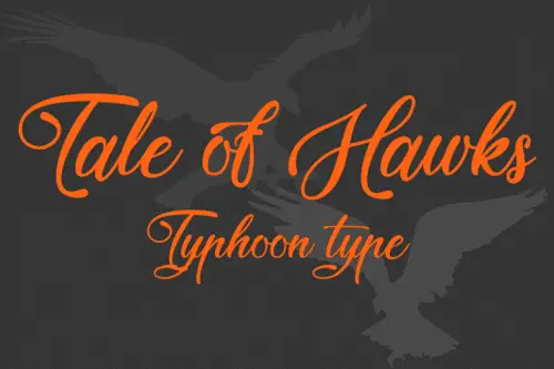 Tale of Hawks Script Font