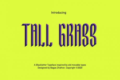 Tall Grass Display Font
