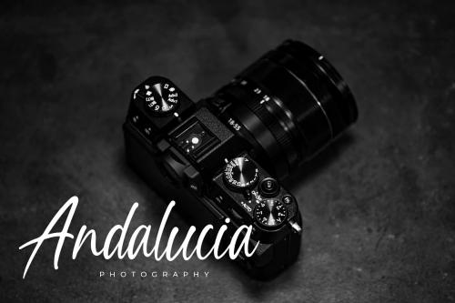 Thailand Script Font