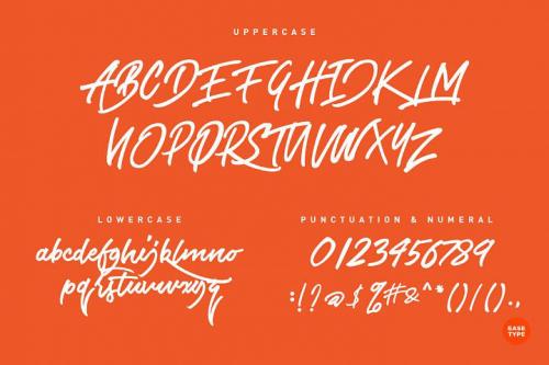 The Airlines Script Font