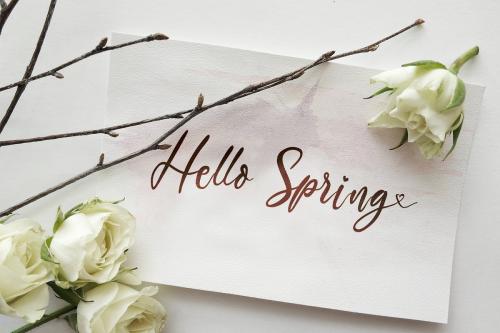 The Austin Script Font